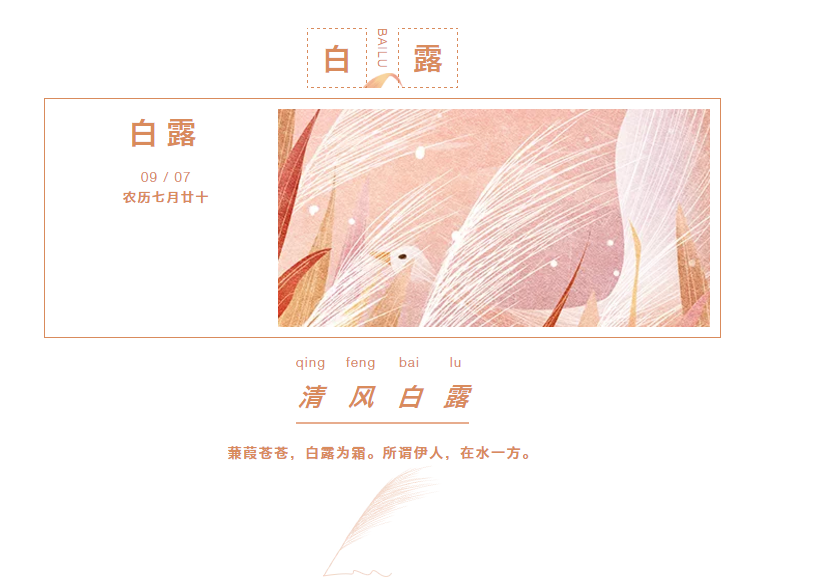 香蕉视频网站